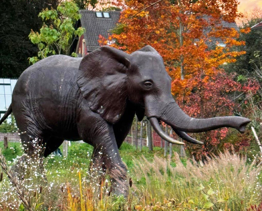 "Der kleine König" im Garten Eden der Greither-Lindner-Stiftung